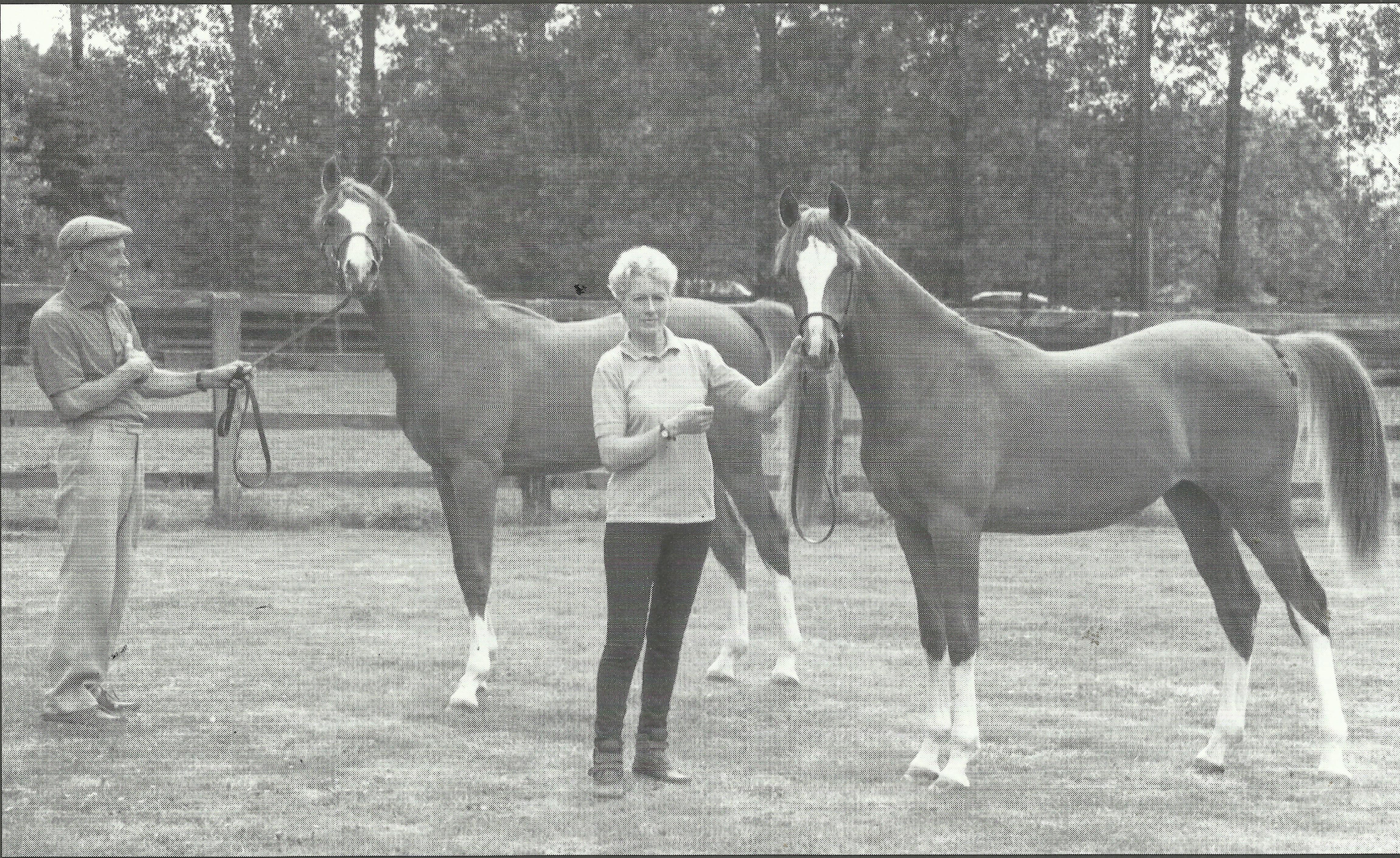Joe and Sue Norman with Kasadi foals (l) Gavin (R) Marceline