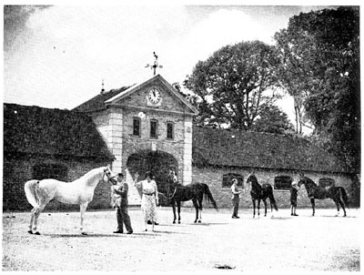 Lady Wentworth inspects four of her Arabian stallions, with Coronation Stables, Crabbet Park, providing a beautiful backdrop.