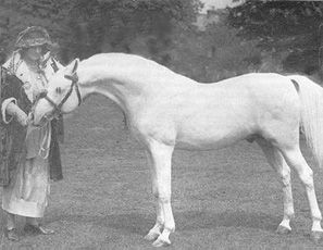 Lady Wentworth with her prized Arabian stallion, Skowronek
