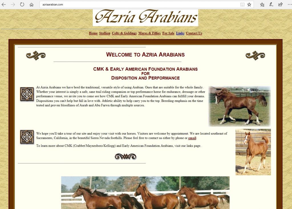 Azria Arabians. Breeding the beautiful athlete from CMK and Early American Arabian bloodlines, with a focus on Aurab and Abu Farwa through multiple sources.