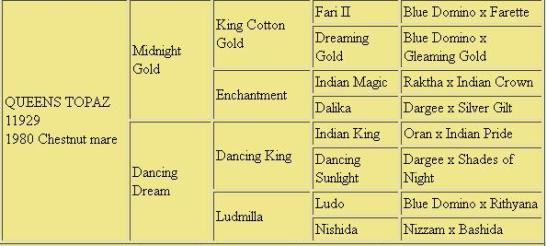 Pedigree for Queens Topaz, 1980 chestnut Arabian mare.