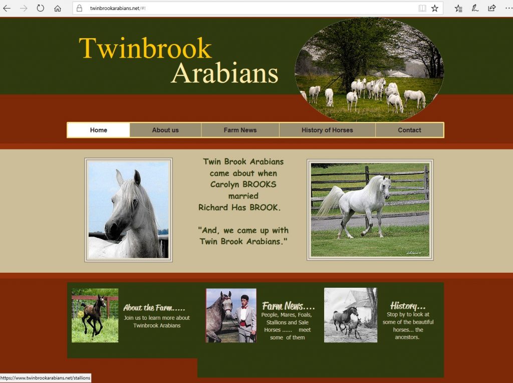 Twinbrook Arabians. Breeding high percentage Crabbet & CMK Arabians, focusing on Azraff/Ferzon bloodlines.