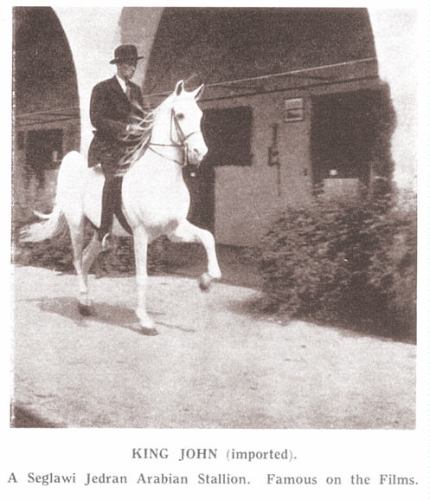 *King John under saddle.
