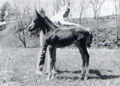 April with Fancee Farwa.