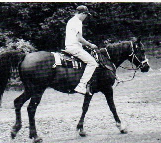 Cianan, April's first Arabian gelding.