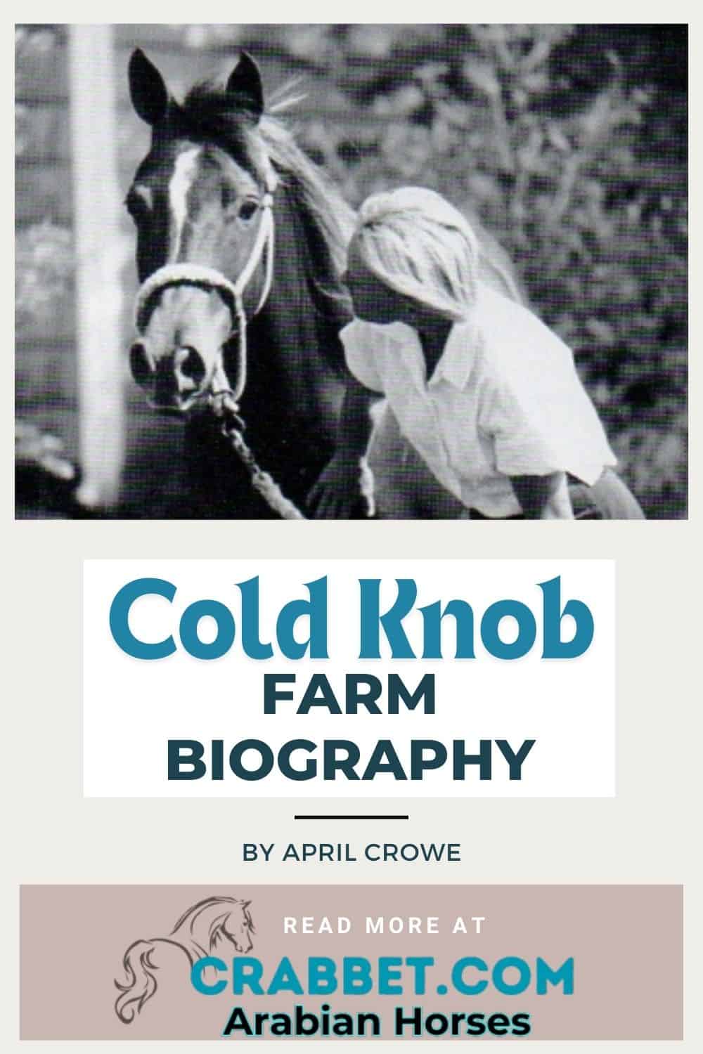 Cold Knob Farm biography pin with image and text title block.