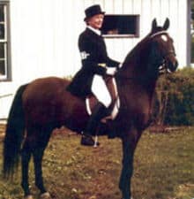 Winraff ridden by owner, Gina Manion
