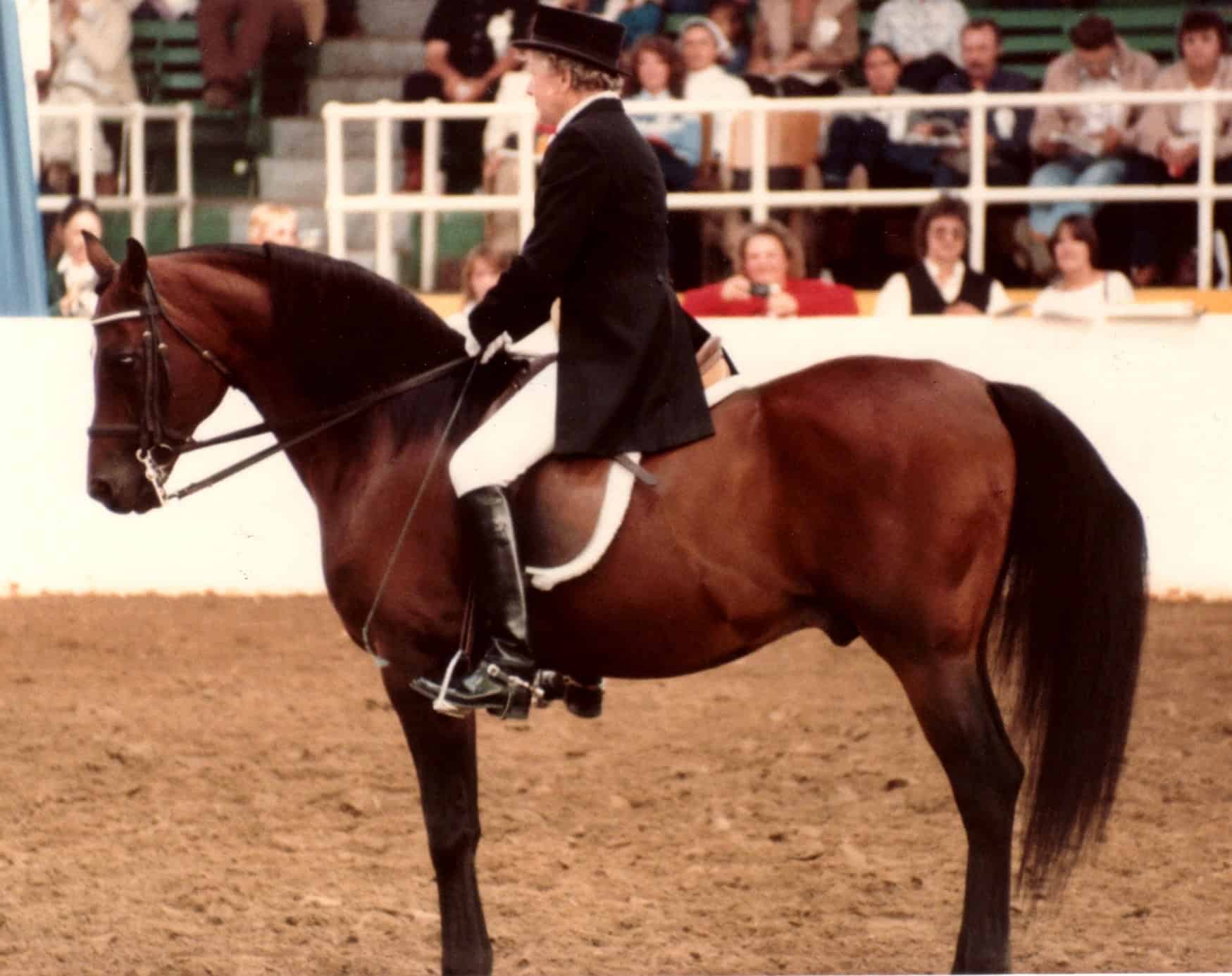 Winraff ridden by Gina Manion at age 13. Kat Walden photo.