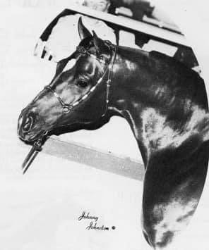 Winraff++ B&W headshot